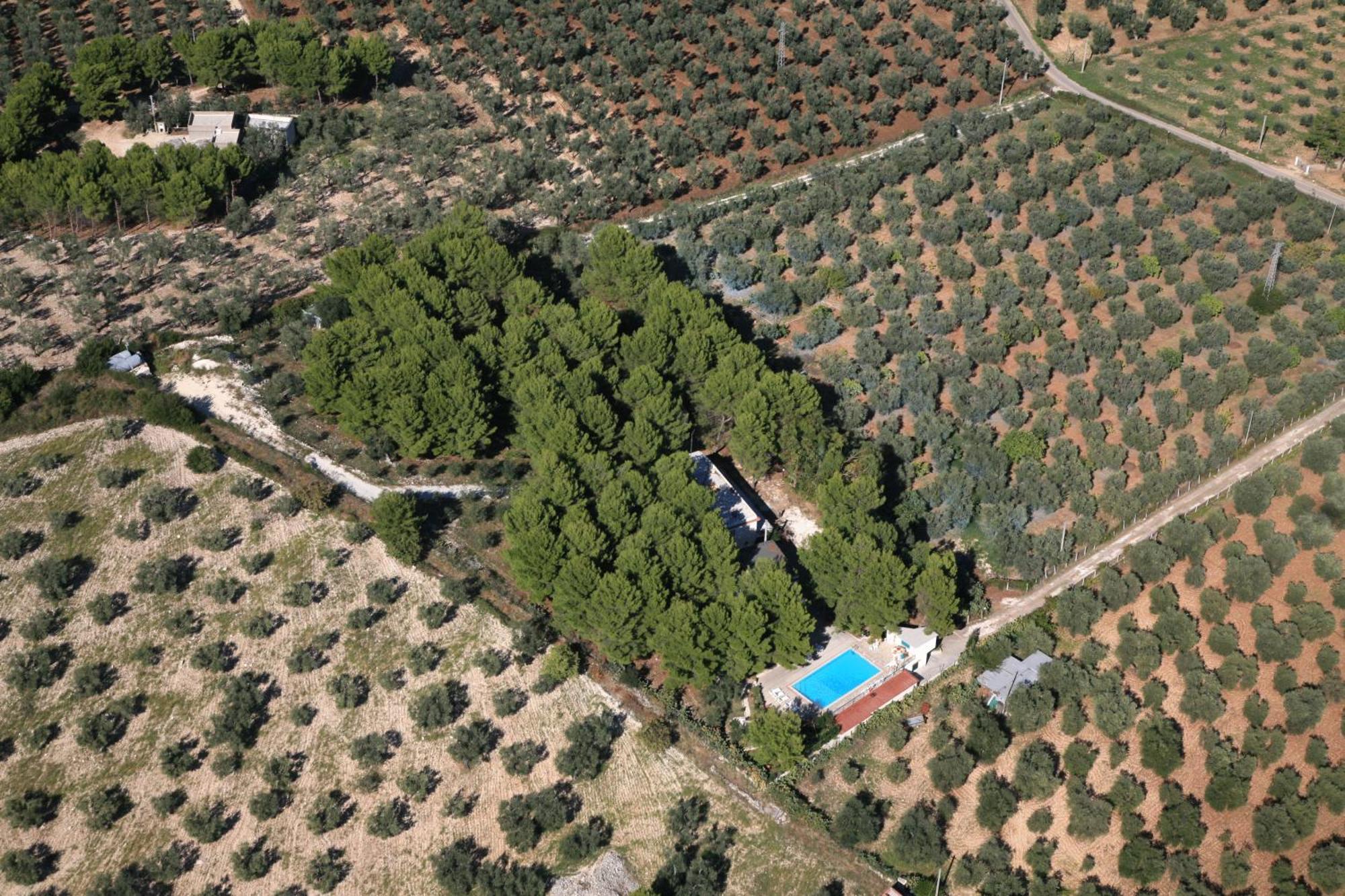 Residence San Luca ויאסטה מראה חיצוני תמונה