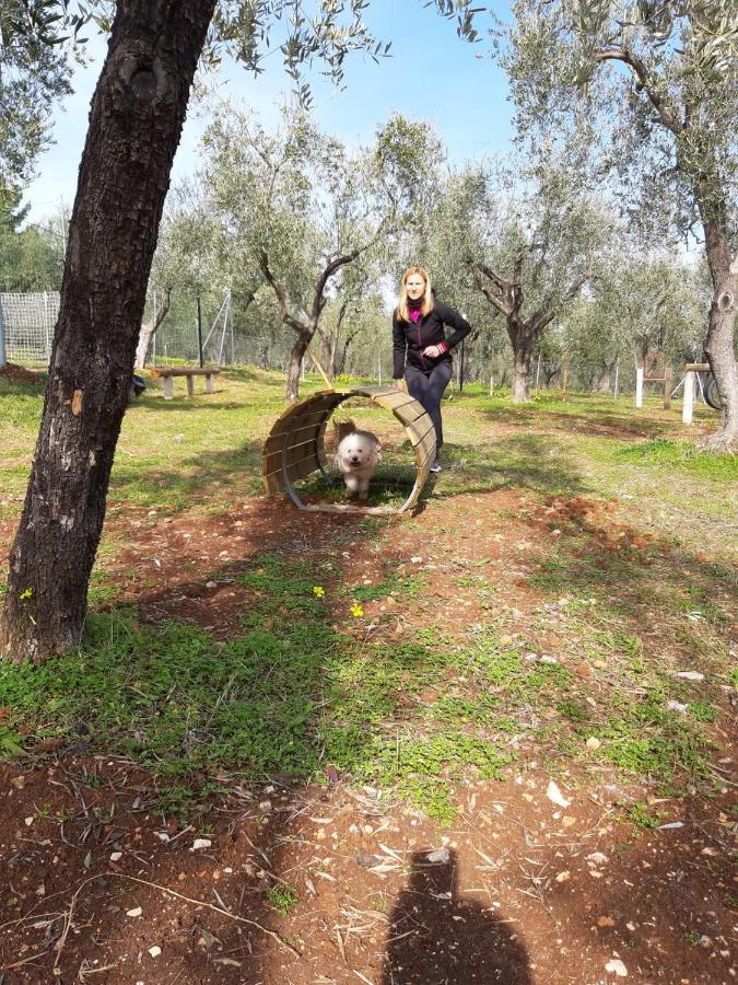 Residence San Luca ויאסטה מראה חיצוני תמונה